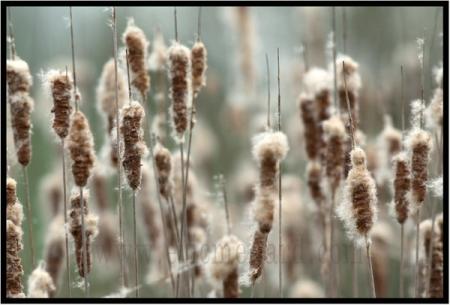 Le nez dans l'herbe