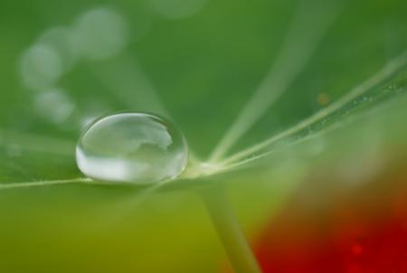 Carnets de nature