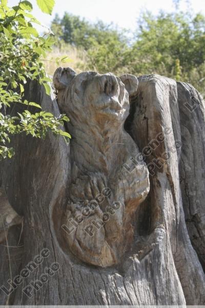 Sculture