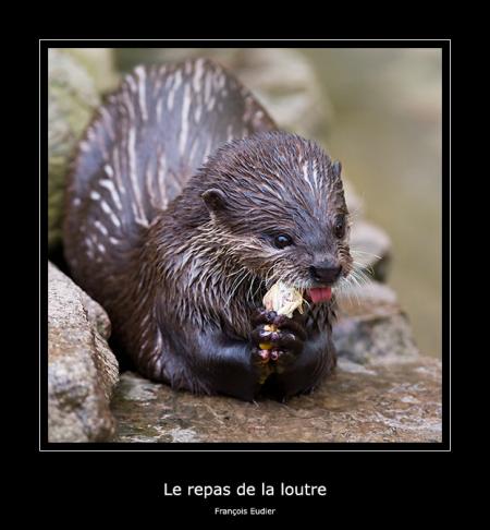 Fraçois Eudier