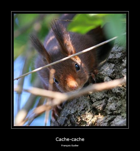 Cache-cache
